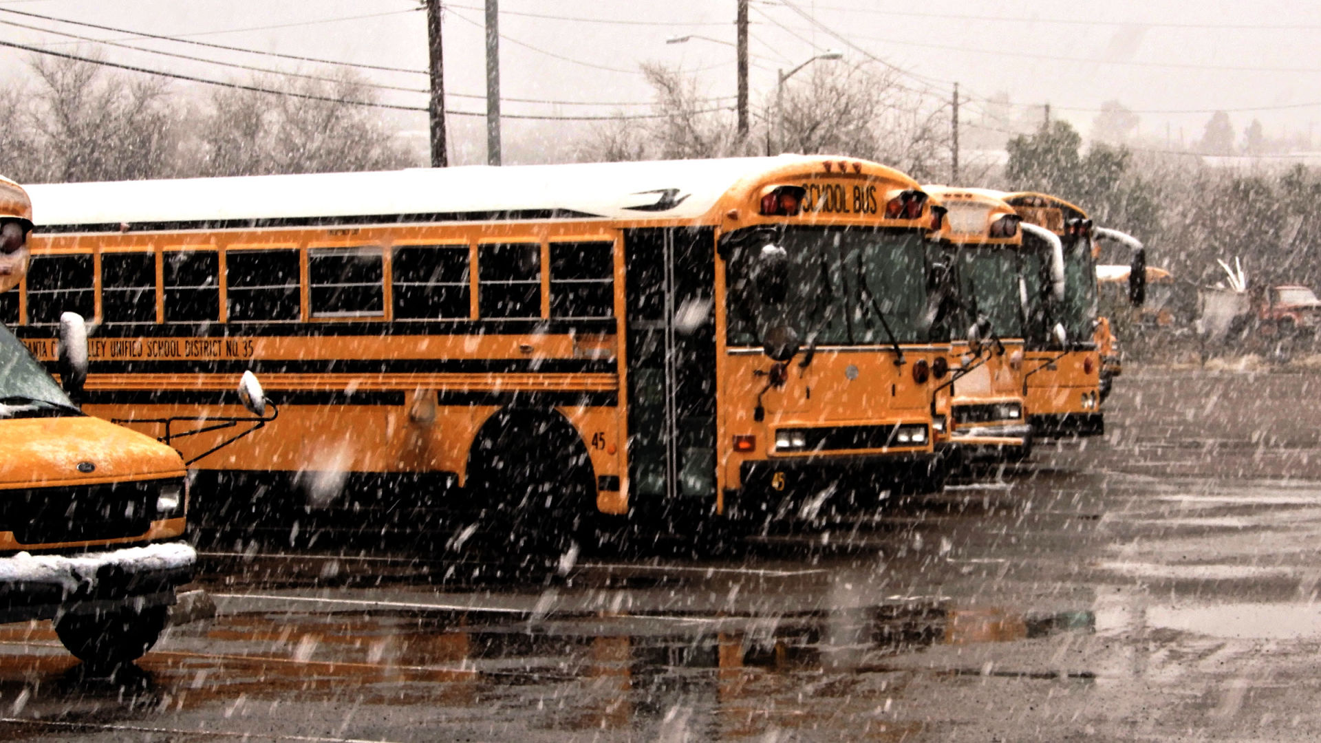 Snow in Santa Cruz County